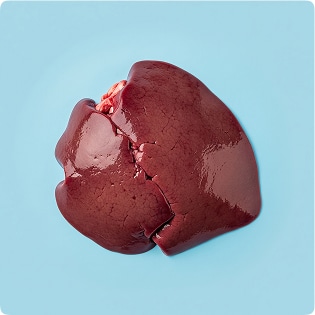 beef liver