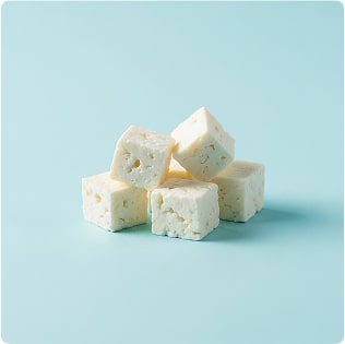 bio active why protein