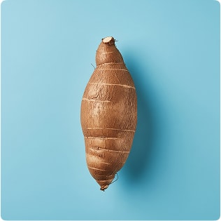 tapioca