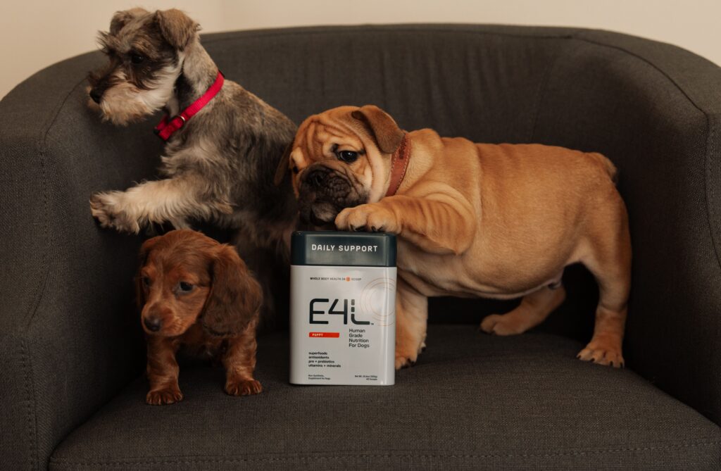 digestive support supplement for puppies